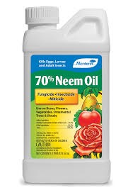 روغن کشاورزی و باغی نیم یا چریش برای کنترل آفات و افزایش مقاومت گیاهان در برابر سرما