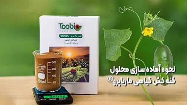 مراحل آماده‌سازی و تولید کنه کش گیاهی ماریا پرو Maria Pro + ویدیو