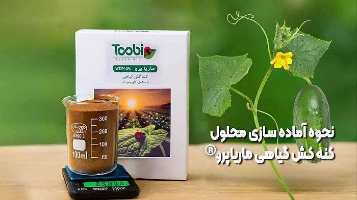 مراحل آماده‌سازی و تولید کنه کش گیاهی ماریا پرو Maria Pro + ویدیو