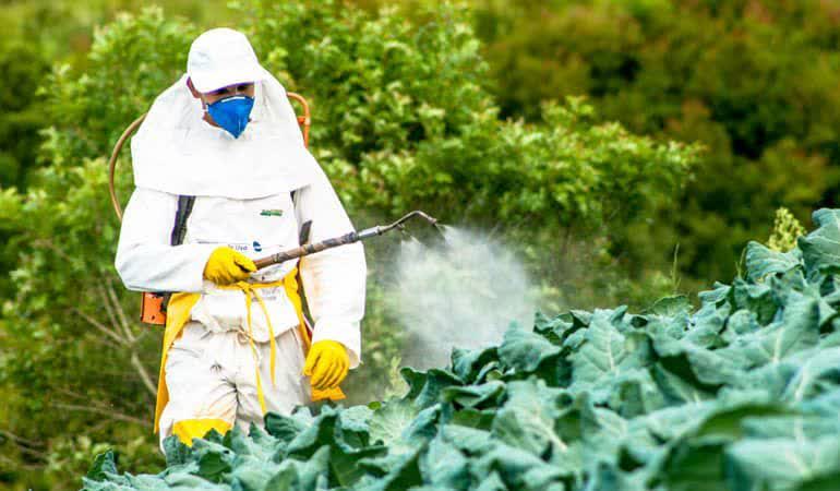 *هشدار جدی برای کشاورزی ایران!*