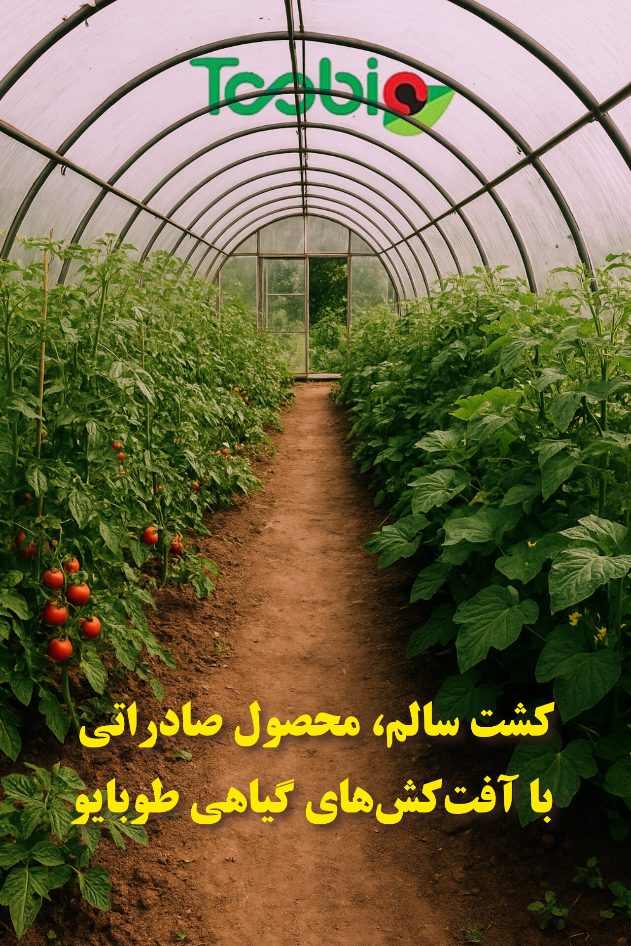 کشاورزی پاک، پایدار و بدون سم